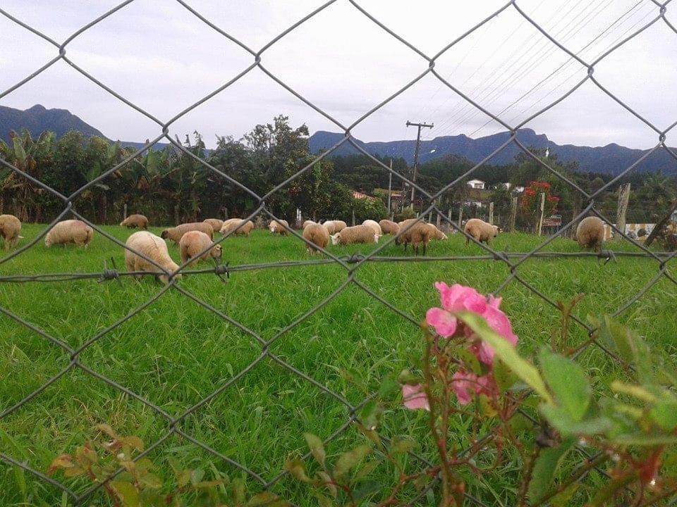Casa Di Pecora - Pousada Rural Lauro Muller Buitenkant foto